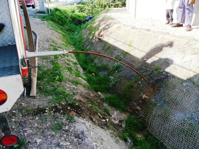 P1000448.JPG
